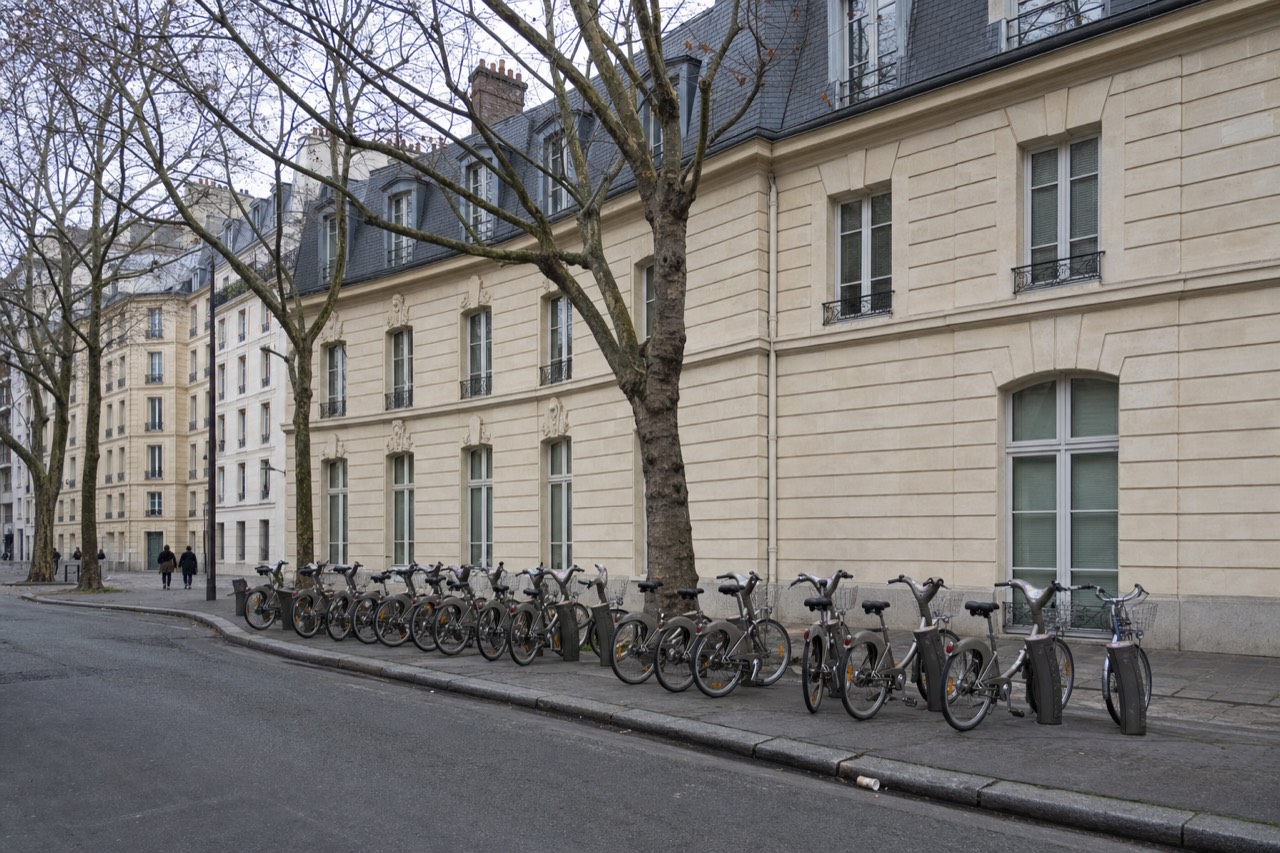 A long row of shared bicycles is docked along a quiet Paris street beside cream stone buildings and bare plane trees.