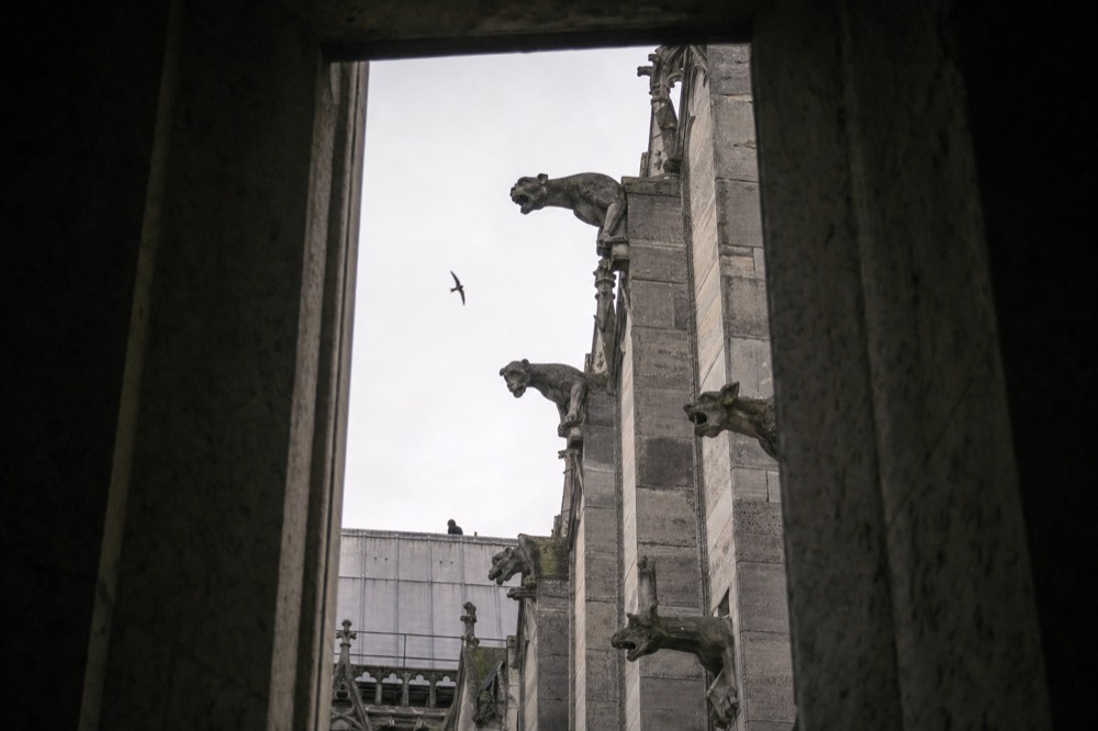 Gargoyles jut from grey cathedral buttresses under a cloudy sky, framed by a dark stone opening with a bird flying nearby.