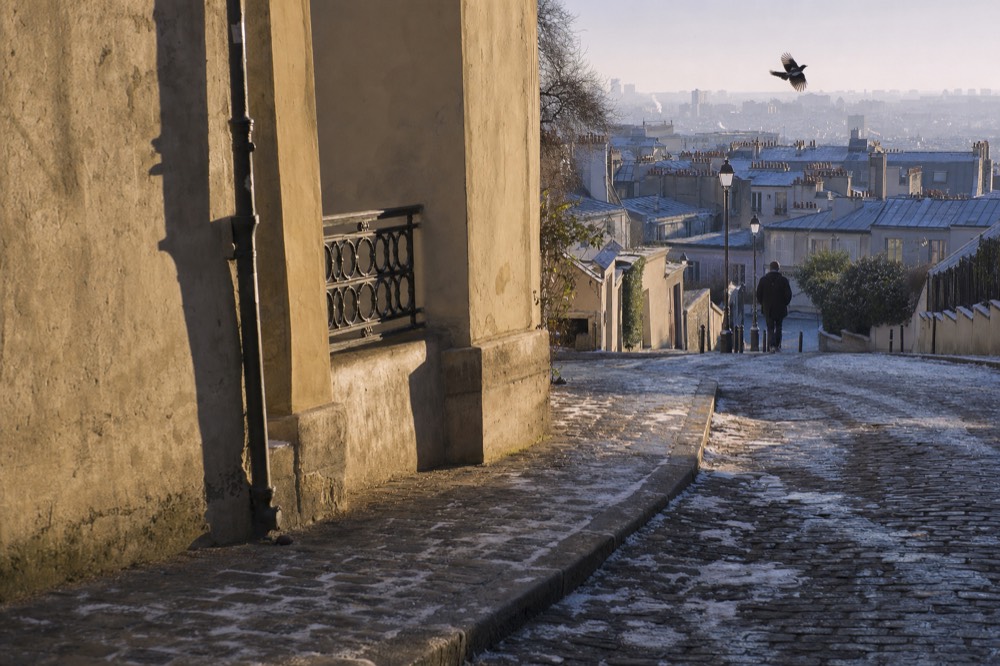 Frosty cobbled Paris street descends past cream walls toward grey zinc rooftops, with a distant walker and a bird in winter light.