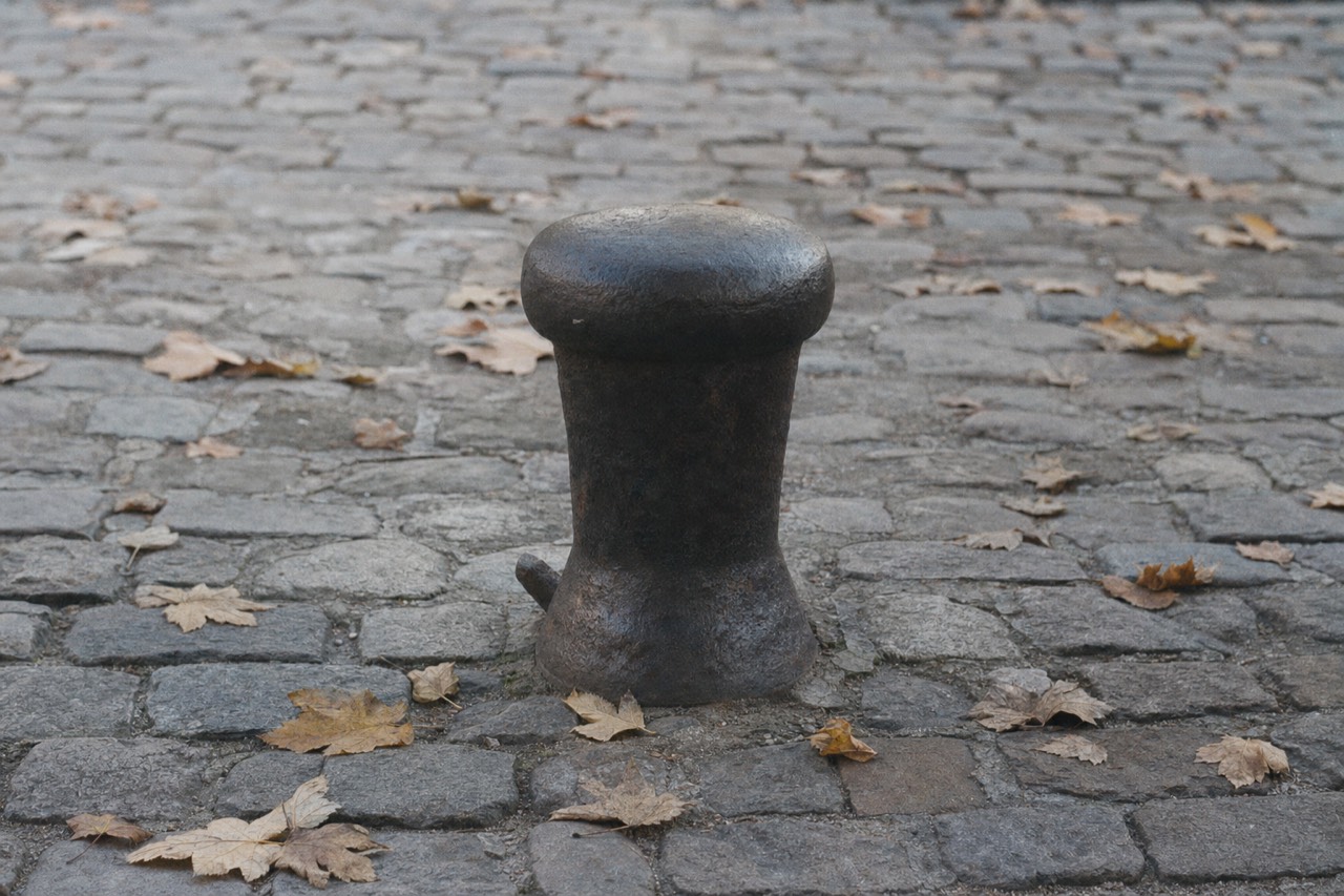 A dark metal bollard stands on wet cobblestones scattered with dry plane leaves.