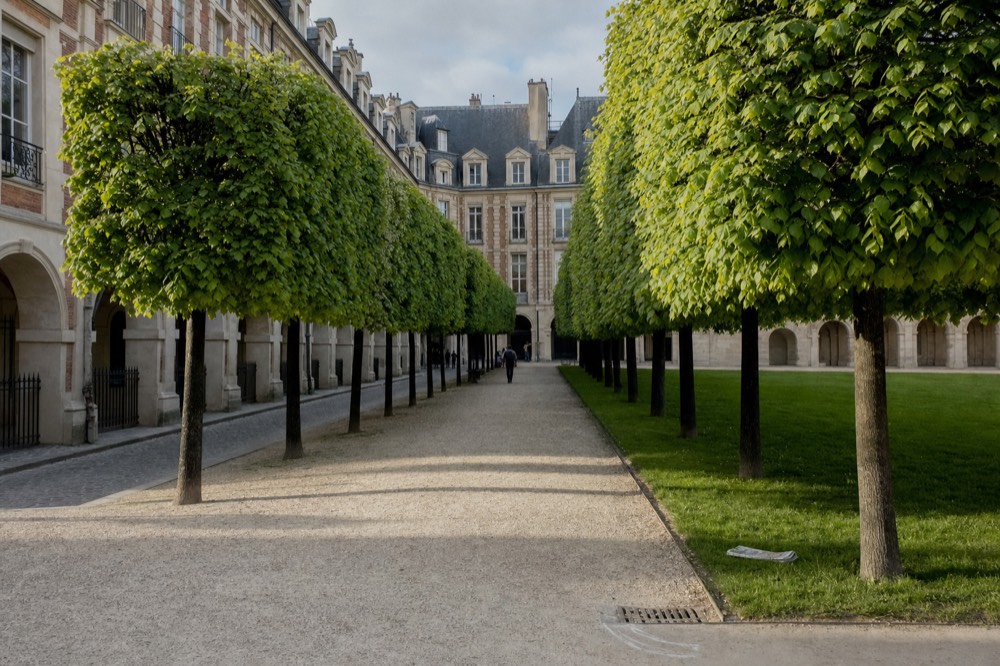 Clipped trees line a gravel path beside green lawns and arched brick and stone facades in a Paris square.